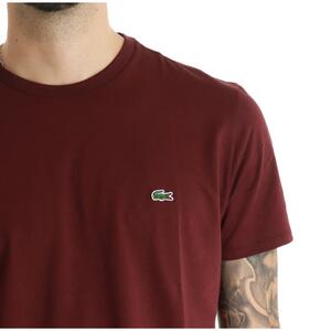 T-SHIRT BASIC LACOSTE - Mad Fashion | img vers.300x/